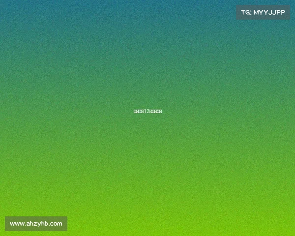 多特蒙德12月赛事时间